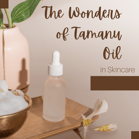The Wonders of Tamanu Oil in Skincare