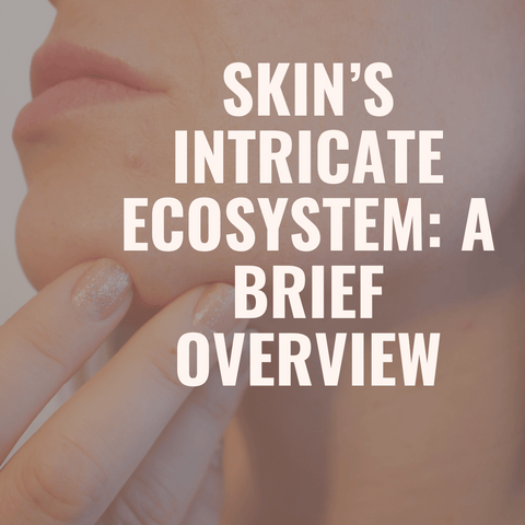 Skin’s Intricate Ecosystem: A Brief Overview