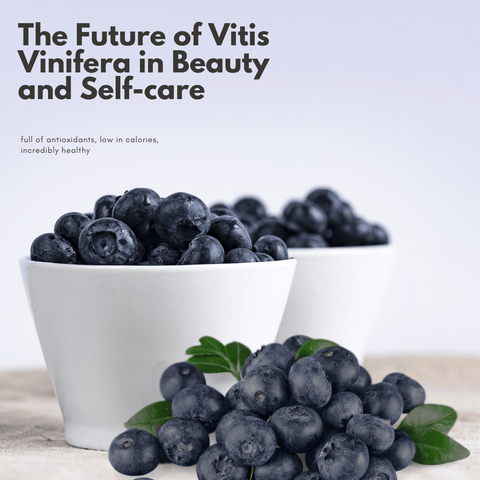 The Future of Vitis Vinifera in Beauty and Self-care