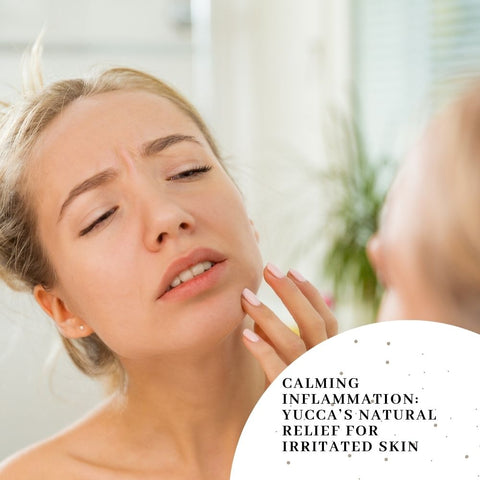 Calming Inflammation: Yucca’s Natural Relief for Irritated Skin