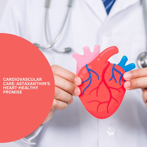 Cardiovascular Care: Astaxanthin's Heart-Healthy Promise