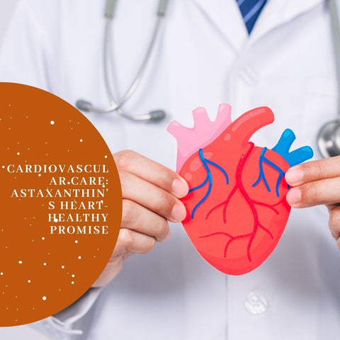 Cardiovascular Care: Astaxanthin's Heart-Healthy Promise