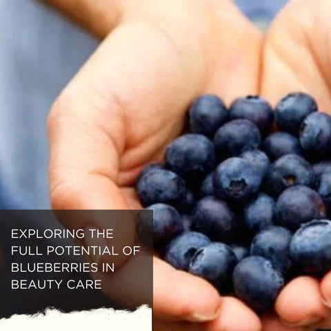Exploring the Full Potential of Blueberries in Beauty Care