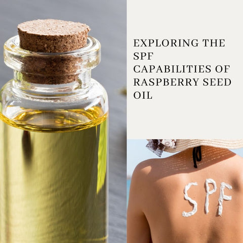 Exploring the SPF Capabilities of Raspberry Seed Oil