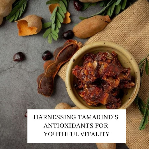 Harnessing Tamarind’s Antioxidants for Youthful Vitality