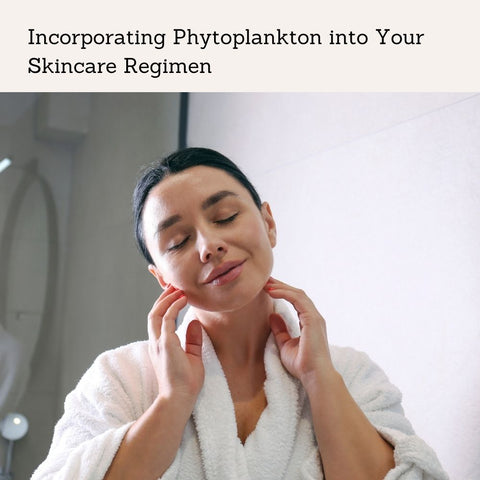 Incorporating Phytoplankton into Your Skincare Regimen