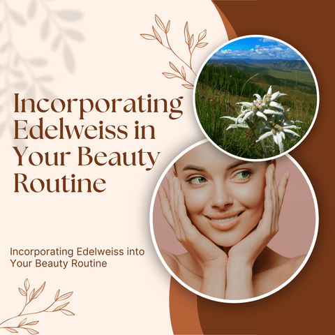 Incorporating Edelweiss in Your Beauty Routine