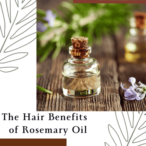 The Hair Benefits of Rosemary Oil