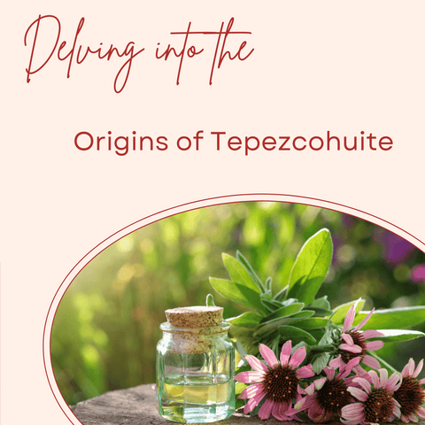 Delving into the Origins of Tepezcohuite