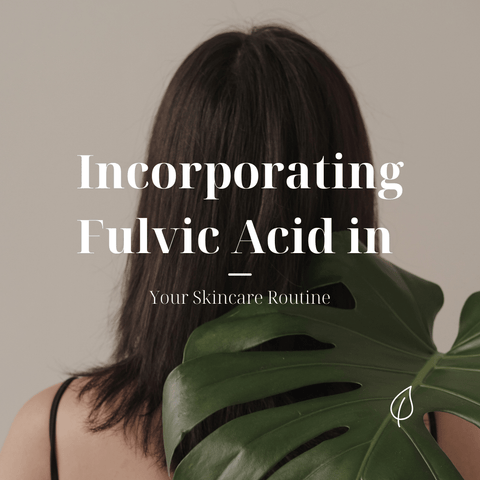 Incorporating Fulvic Acid in Your Skincare Routine