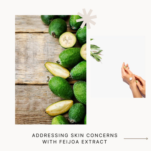 Addressing Skin Concerns with Feijoa Extract