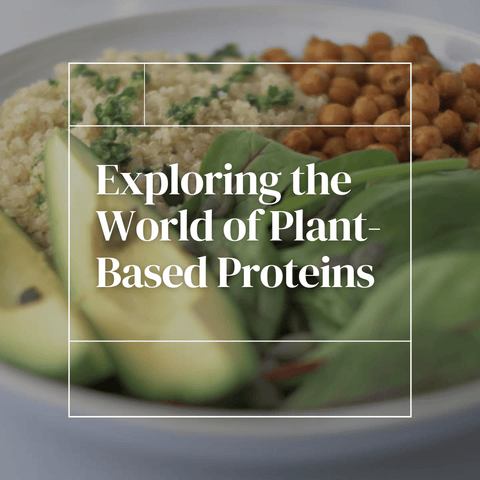 Exploring the World of Plant-Based Proteins