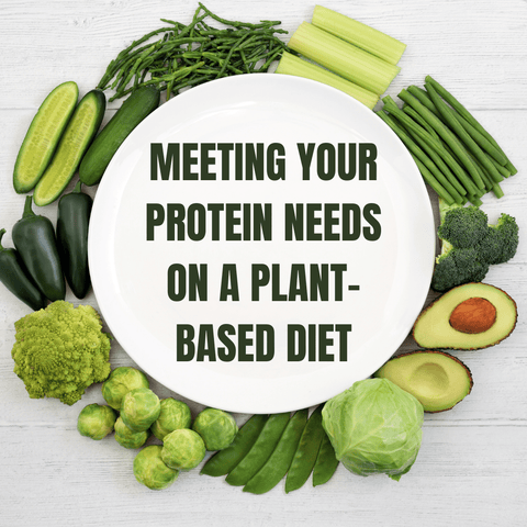 Meeting Your Protein Needs on a Plant-Based Diet