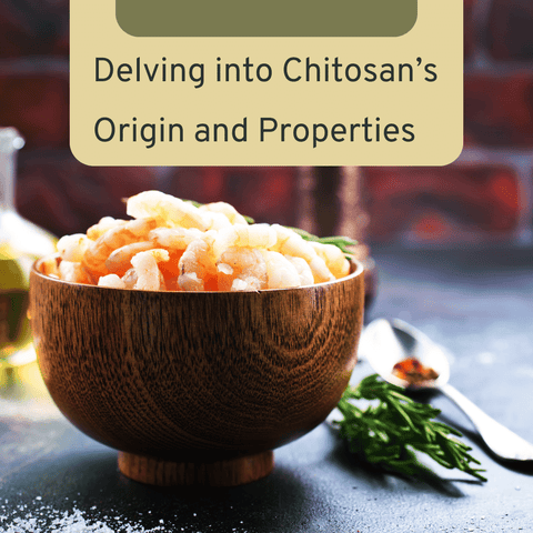 Delving into Chitosan’s Origin and Properties
