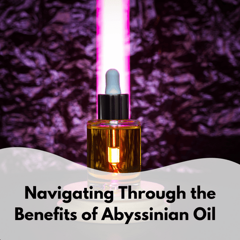 Navigating Through the Benefits of Abyssinian Oil