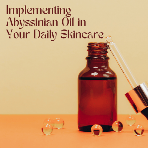 Implementing Abyssinian Oil in Your Daily Skincare
