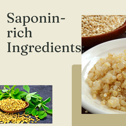 Saponin-rich Ingredients: Identifying and Using Them