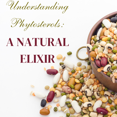 Understanding Phytosterols: A Natural Elixir