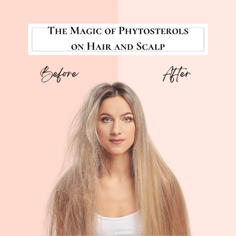 The Magic of Phytosterols on Hair and Scalp