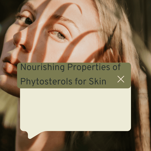 Nourishing Properties of Phytosterols for Skin