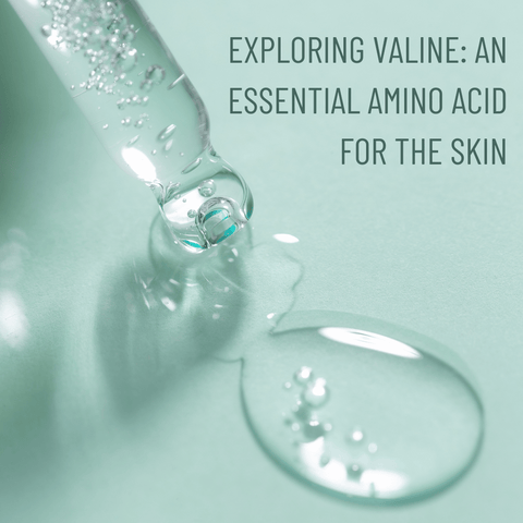 Exploring Valine: An Essential Amino Acid for the Skin