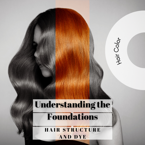Understanding the Foundations: Hair Structure and Dye