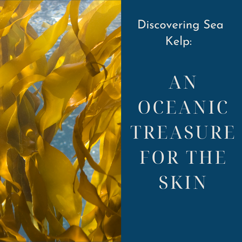 Discovering Sea Kelp: An Oceanic Treasure for the Skin