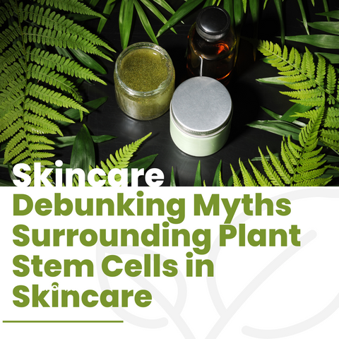Debunking Myths Surrounding Plant Stem Cells in Skincare