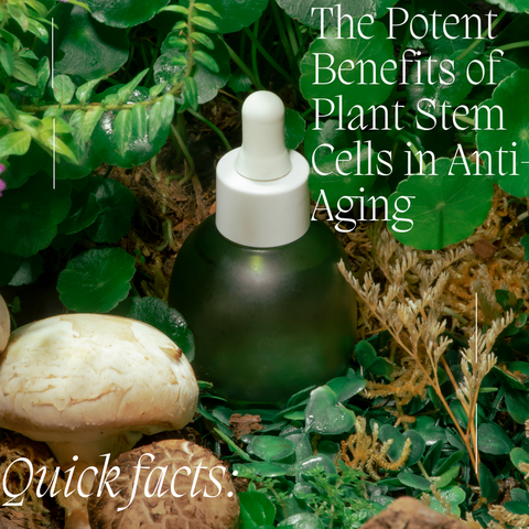 The Potent Benefits of Plant Stem Cells in Anti-Aging