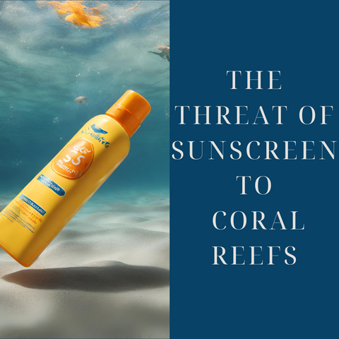 The Threat of Sunscreen to Coral Reefs