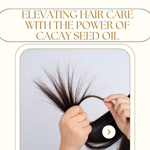 Elevating Hair Care with the Power of Cacay Seed Oil