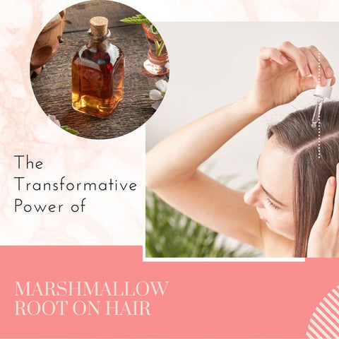 The Transformative Power of Marshmallow Root on Hair