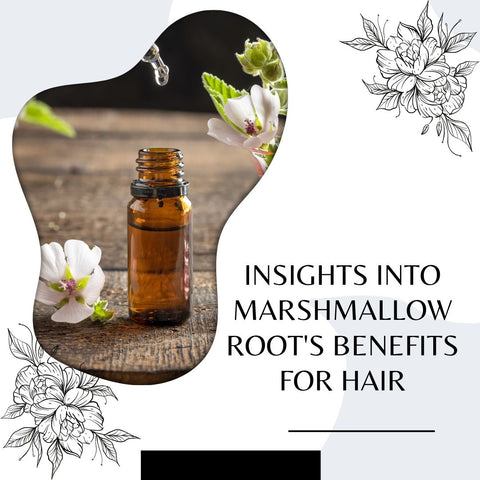 Insights into Marshmallow Root's Benefits for Hair