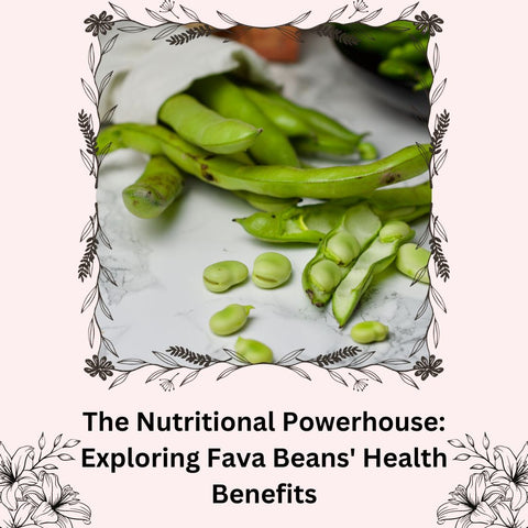 The Nutritional Powerhouse: Exploring Fava Beans' Health Benefits