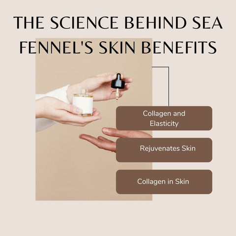 The Science Behind Sea Fennel's Skin Benefits