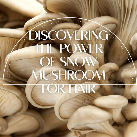 Discovering the Power of Snow Mushroom for Hair