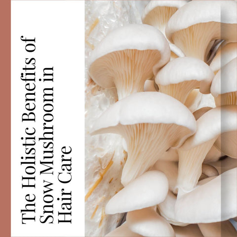 The Holistic Benefits of Snow Mushroom in Hair Care