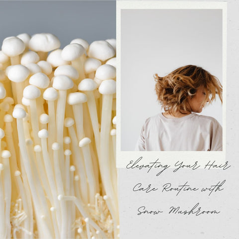 Elevating Your Hair Care Routine with Snow Mushroom