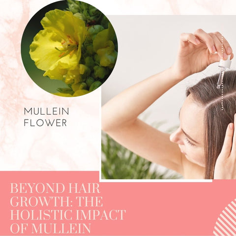 Beyond Hair Growth: The Holistic Impact of Mullein