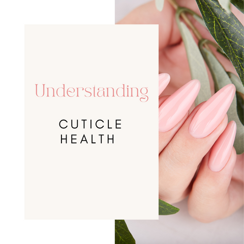 Understanding Cuticle Health