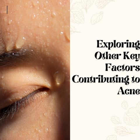 Exploring Other Key Factors Contributing to Acne