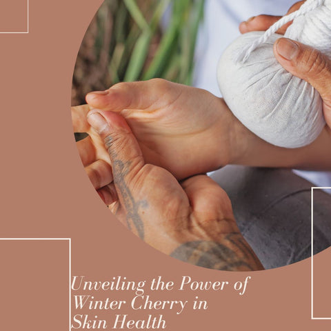 Unveiling the Power of Winter Cherry in Skin Health