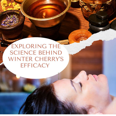 Exploring the Science Behind Winter Cherry's Efficacy
