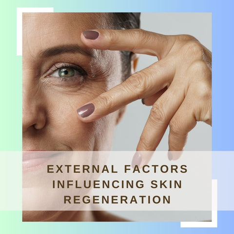External Factors Influencing Skin Regeneration