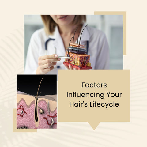 Factors Influencing Your Hair's Lifecycle