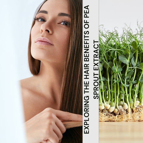 Exploring the Hair Benefits of Pea Sprout Extract