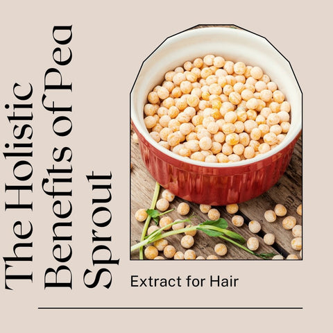 The Holistic Benefits of Pea Sprout Extract for Hair