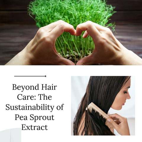 Beyond Hair Care: The Sustainability of Pea Sprout Extract