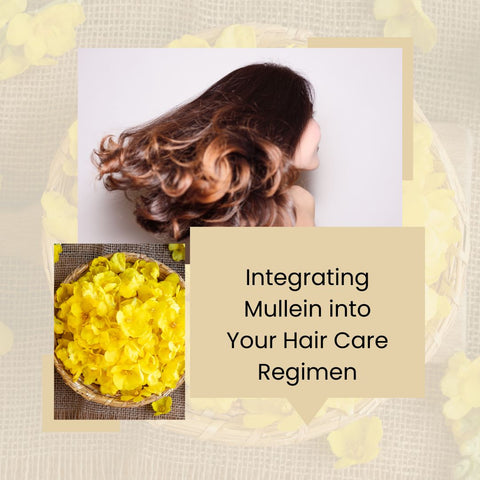 Integrating Mullein into Your Hair Care Regimen