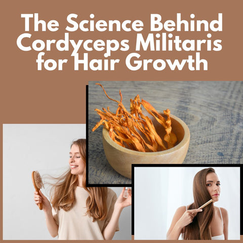 The Science Behind Cordyceps Militaris for Hair Growth